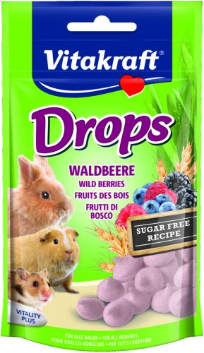 Vitakraft Drops με δασικά φρούτα  75 g