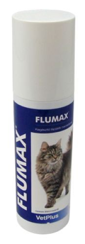Flumax πάστα  150 ml