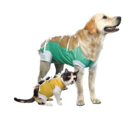 Kuna μετεγχειρητικό ρούχο - για θηλυκούς σκύλους xl   1 db