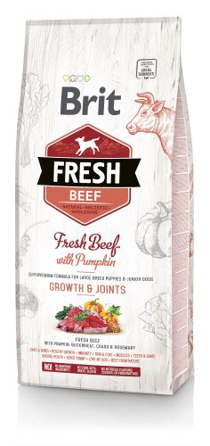 Brit Fresh Κουτάβια & Νεαρά Σκυλιά Ανάπτυξη & Αρθρώσεις - Βοδινό και κολοκύθα  2.5 kg