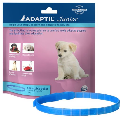 ADAPTIL JUNIOR περιλαίμιο  1 db
