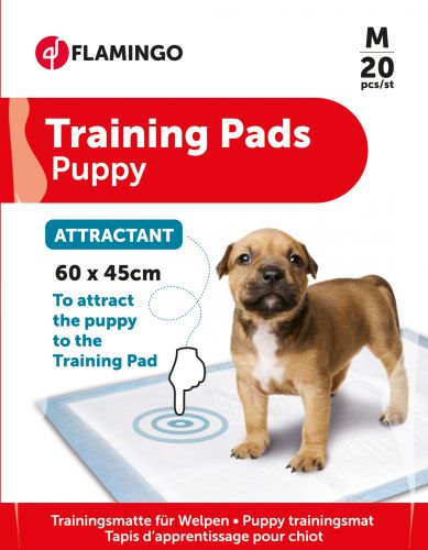 Flamingo προσέλκυσης στο σημείο περιττωμάτων  20 db 60x45 cm