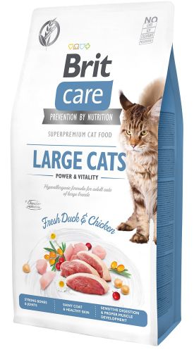 Brit Care Large Cats Power Vitality  2 kg