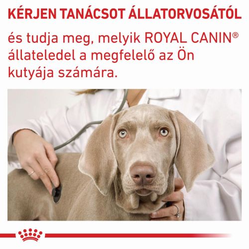 Royal Canin Neutered Adult Medium Dog  9 kg