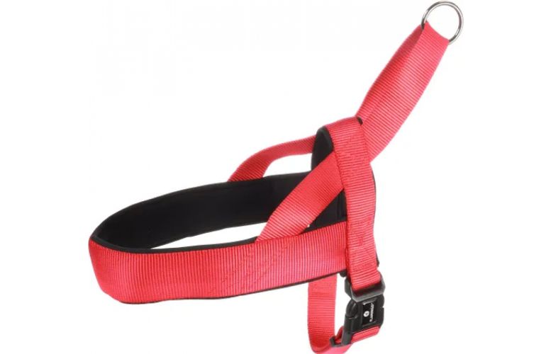 Flamingo Abbi λουρί - κόκκινο l   1 db