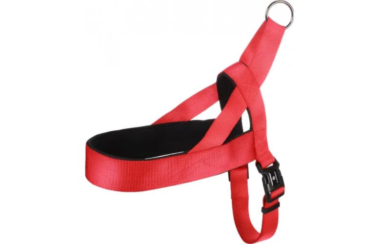 Flamingo Abbi λουρί - κόκκινο xxl   1 db