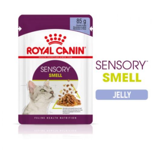 Royal Canin Sensory Smell - ζελέ υγρή τροφή για ενήλικες γάτες 12 x  85 g
