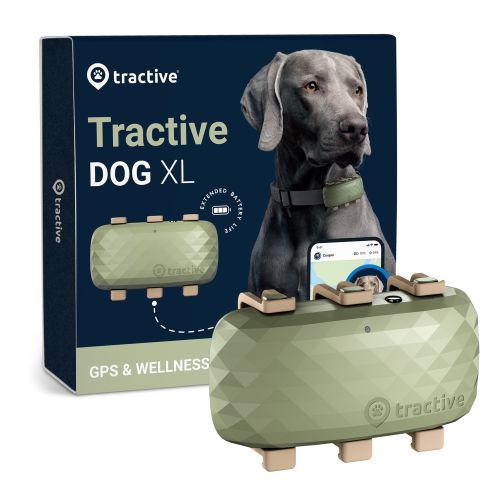 Tractive Dog XL - kutya GPS nyomkövető és aktivitásmérő  Zöld 