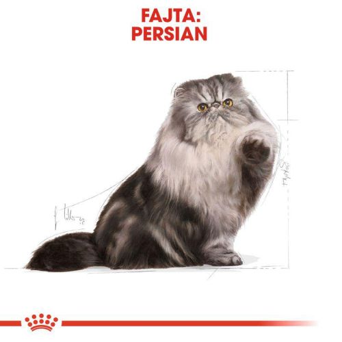 Royal Canin Persian Adult - Perzsa felnőtt macska száraz táp  10+2 kg