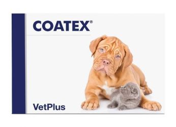 Coatex κάψουλα  60 db