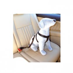 Camon οδικό ζωνάκι ασφαλείας  L 