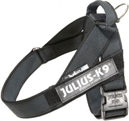 Julius-K9 IDC λουρί, μαύρο mini   1 db