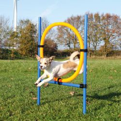 Trixie Agility - στεφάνι (εμπόδιο άλματος)  115x3x65 cm