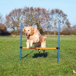Trixie Agility - εμπόδιο άλματος  125x115x3 cm