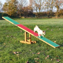 Trixie Agility - κούνια  300x54x34 cm