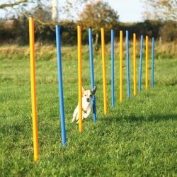Trixie Agility - δοκός ισορροπίας  115x3 cm