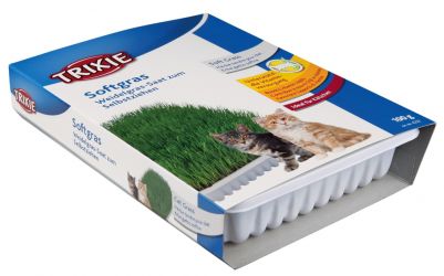 Trixie φρέσκο γρασίδι γάτας  100 g
