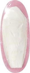 Flamingo ορυκτή πέτρα για πουλιά  70 g
