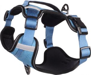 Flamingo Heron λουρί - μπλε  28-37 cm/36-48 cm