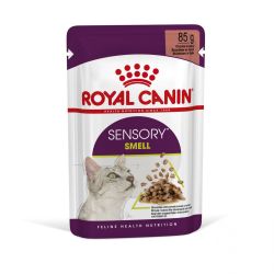 Royal Canin Sensory Smell - σαλτσωτή υγρή τροφή για ενήλικες γάτες 12 x  85 g
