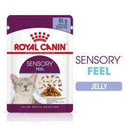 Royal Canin Sensory Feel - ζελεδένια υγρή τροφή για ενήλικες γάτες 12 x  85 g