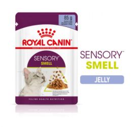 Royal Canin Sensory Smell - ζελέ υγρή τροφή για ενήλικες γάτες 12 x  85 g