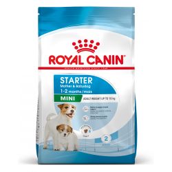 Royal Canin Mini Starter - ξηρή τροφή για έγκυες σκυλίτσες και μικρόσωμα κουτάβια  4 kg