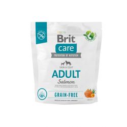Brit Care Χωρίς Σιτηρά Ενήλικο - Σολομός & Πατάτα  1 kg