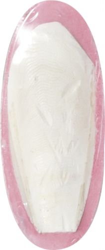 Flamingo ορυκτή πέτρα για πουλιά  70 g
