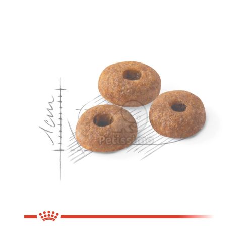 Royal Canin Fit - aktív felnőtt macska száraz táp  10+2 kg