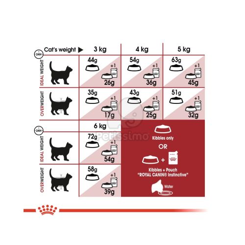 Royal Canin Fit - aktív felnőtt macska száraz táp  10+2 kg