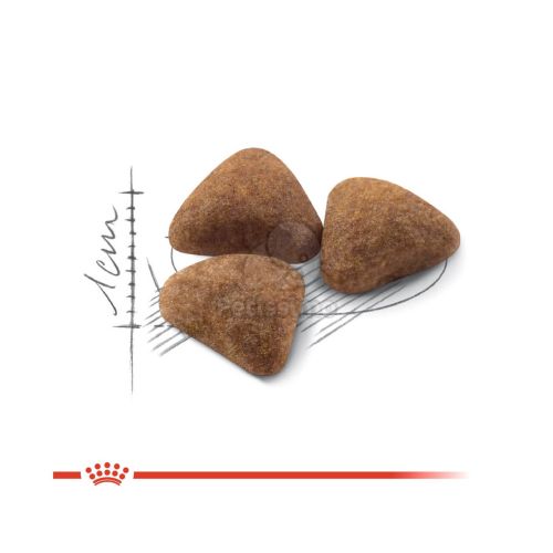 Royal Canin Indoor - lakásban tartott felnőtt macska száraz táp  10+2 kg