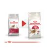 Royal Canin Fit - aktív felnőtt macska száraz táp  10+2 kg