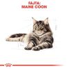 Royal Canin Maine Coon Adult - Maine Coon felnőtt macska száraz táp  10+2 kg