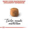 Royal Canin Maine Coon Adult - Maine Coon felnőtt macska száraz táp  10+2 kg