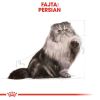 Royal Canin Persian Adult - Perzsa felnőtt macska száraz táp  10+2 kg