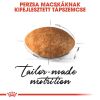 Royal Canin Persian Adult - Perzsa felnőtt macska száraz táp  10+2 kg
