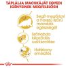Royal Canin Persian Adult - Perzsa felnőtt macska száraz táp  10+2 kg