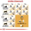 Royal Canin Persian Adult - Perzsa felnőtt macska száraz táp  10+2 kg