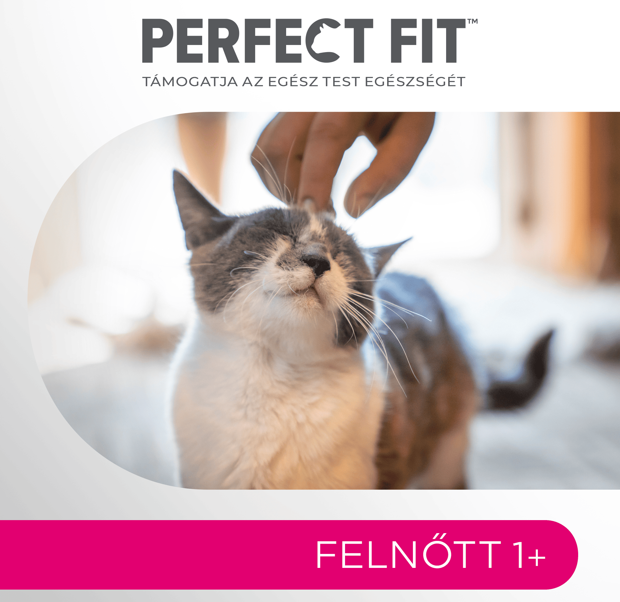 Perfect Fit