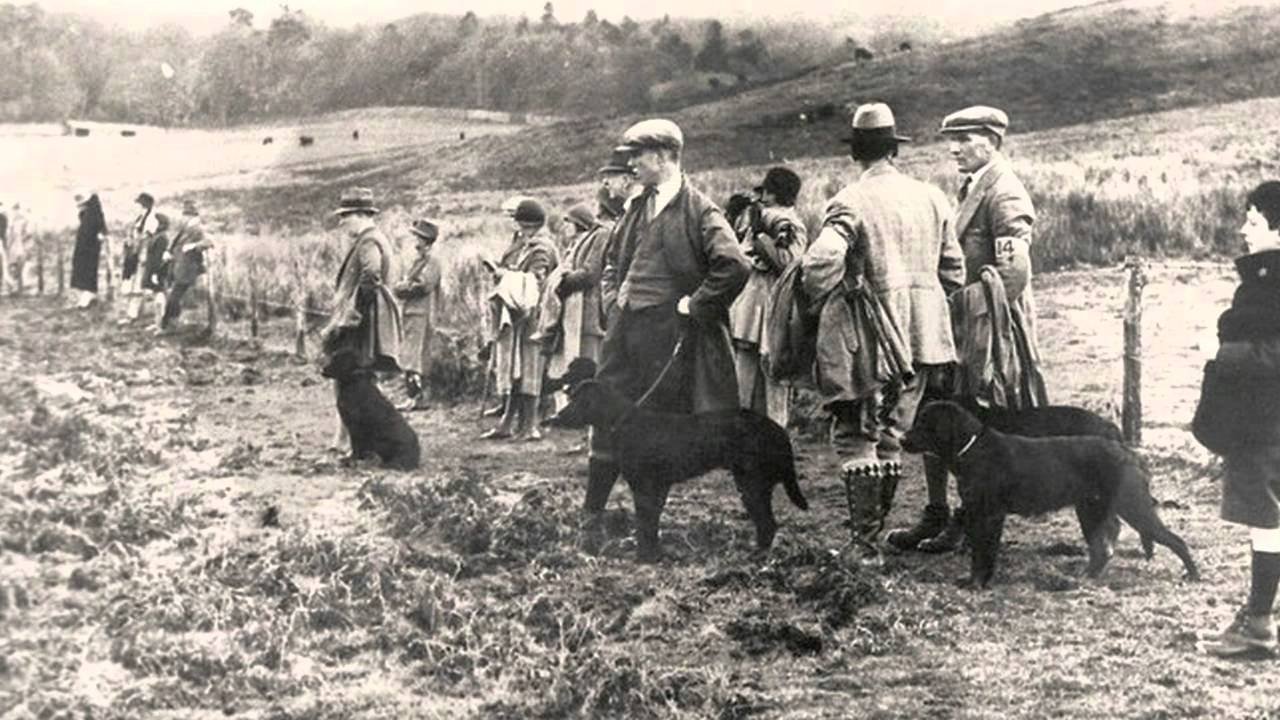 kutyás vadászat
