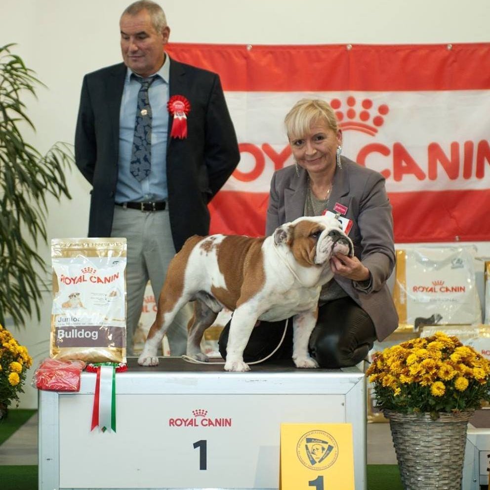 Boross Mónika a Black –Treasure Dogs kennel tulajdonosának fotója
