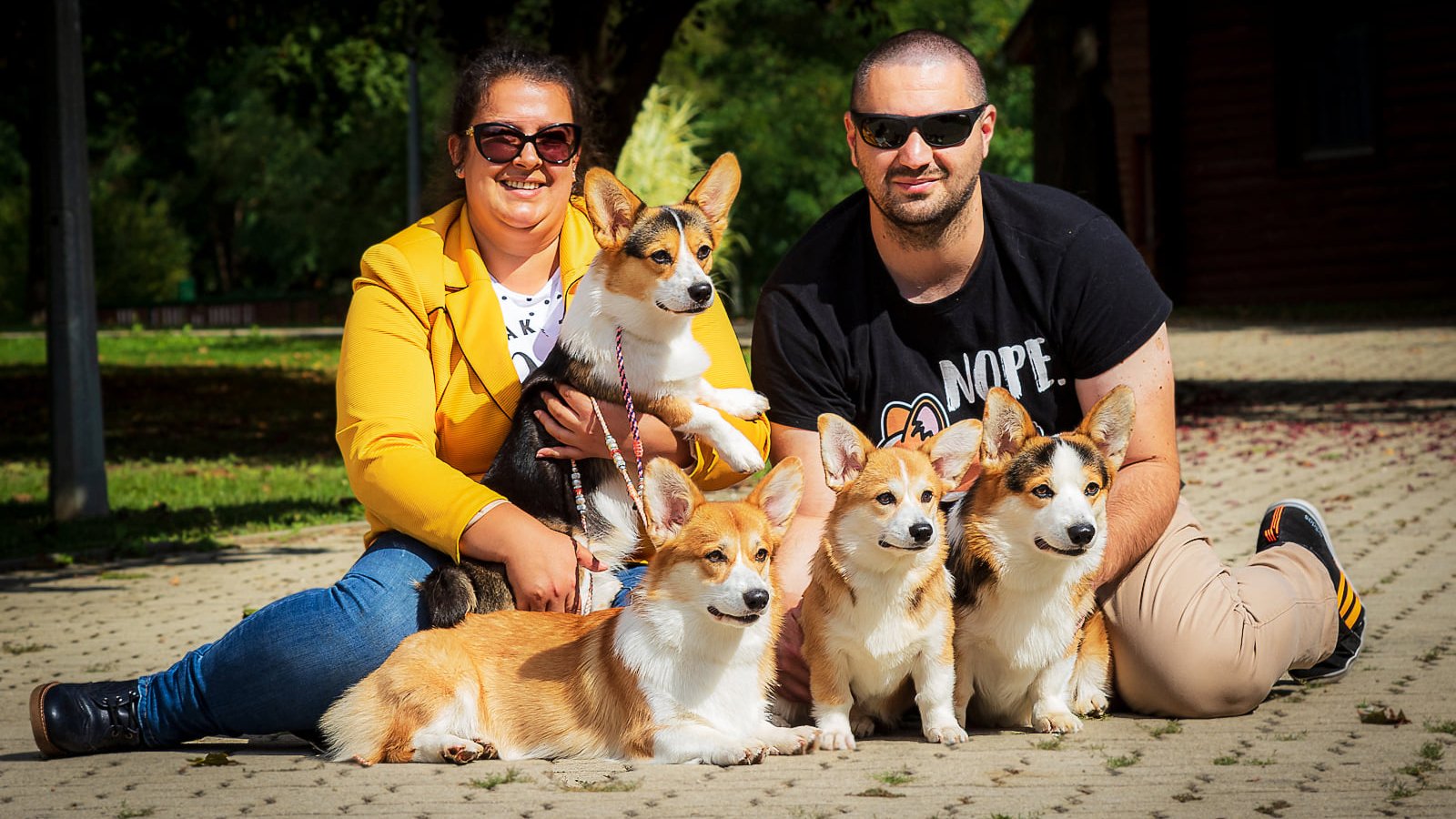 fiatal pár pembroke welsh corgi kiskutyákkal