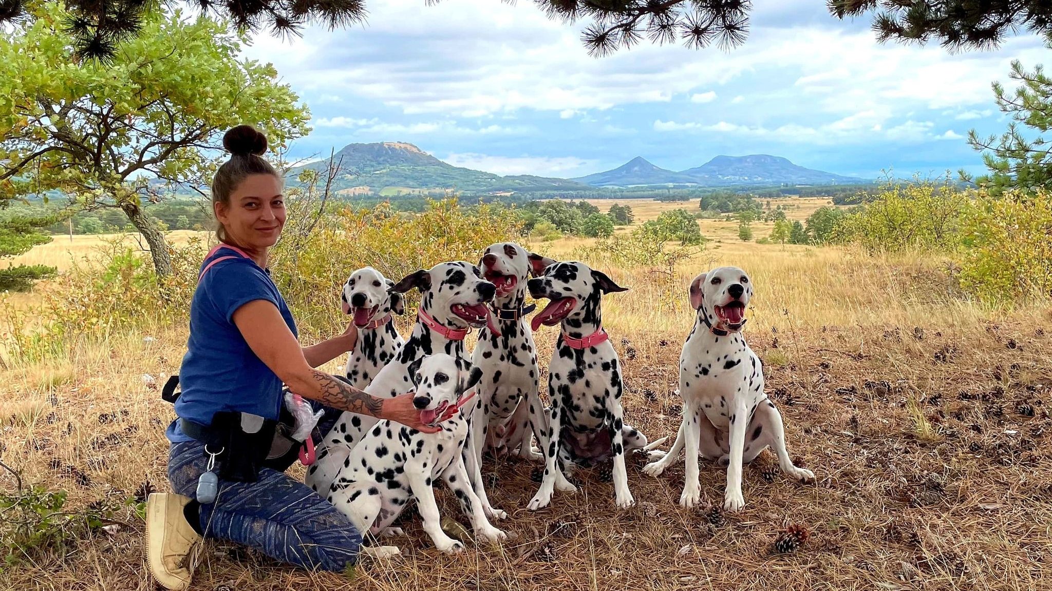 Tóth Noémi a Nomenimi’s Love Spots Dalmata Kennel tulajdonosának fotója