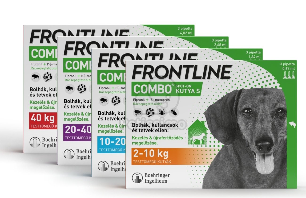 Frontline