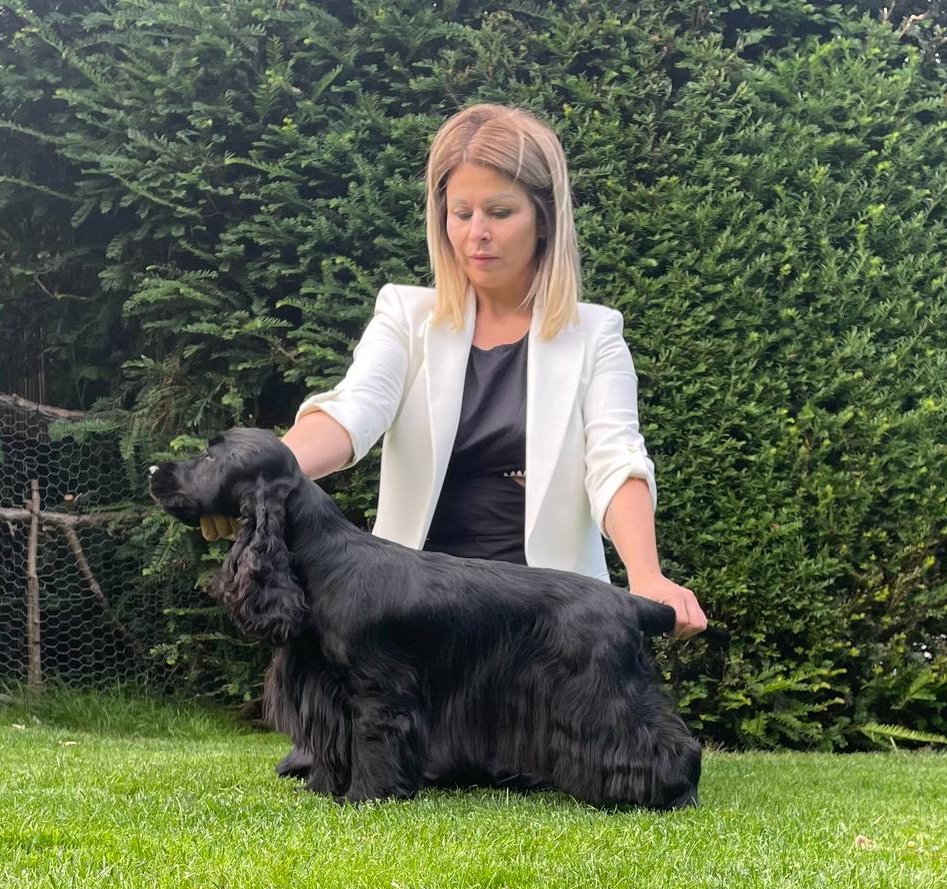 Lukács Nóra a Big City Life kennel tulajdonosának fotója
