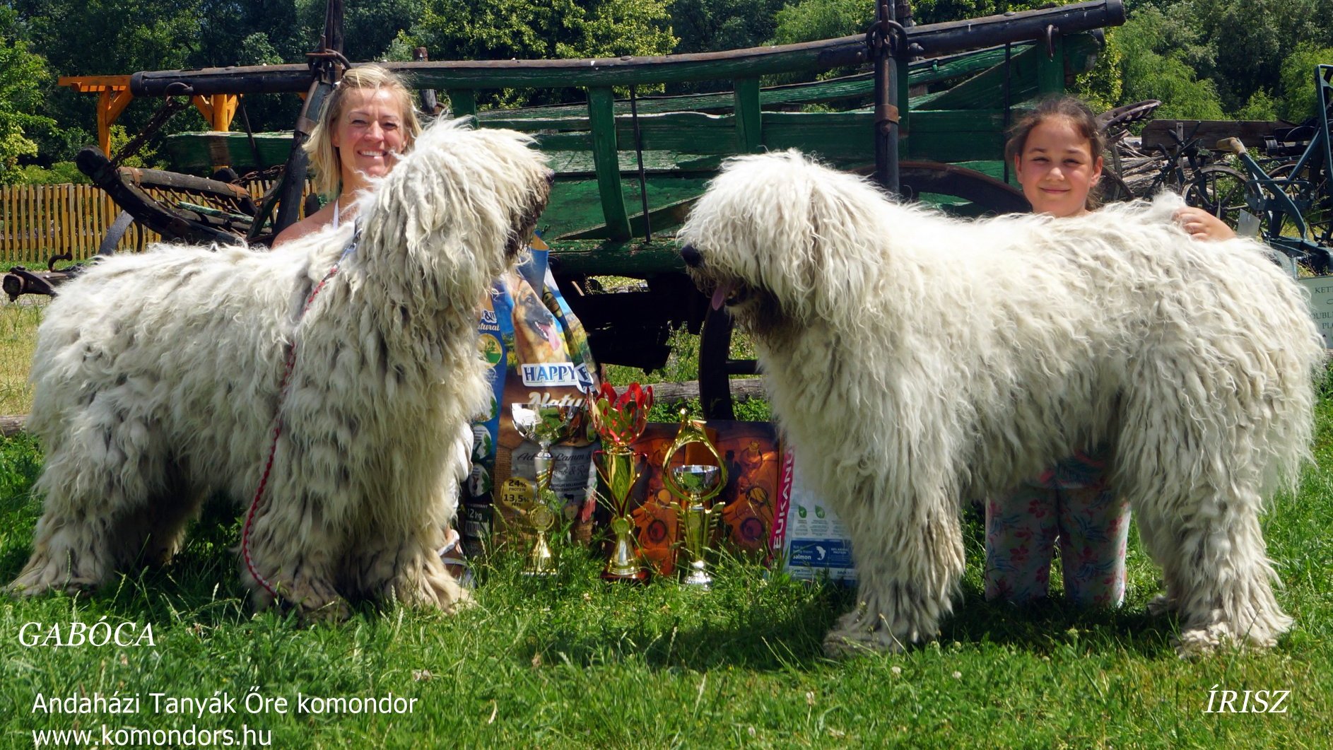 Anda-Marócsek Anita az Andaházi Tanyák őre komondor kennel tulajdonosának fotója