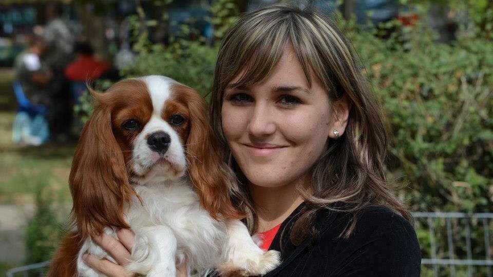  Cavalier King Charles spániel gazdája karjában