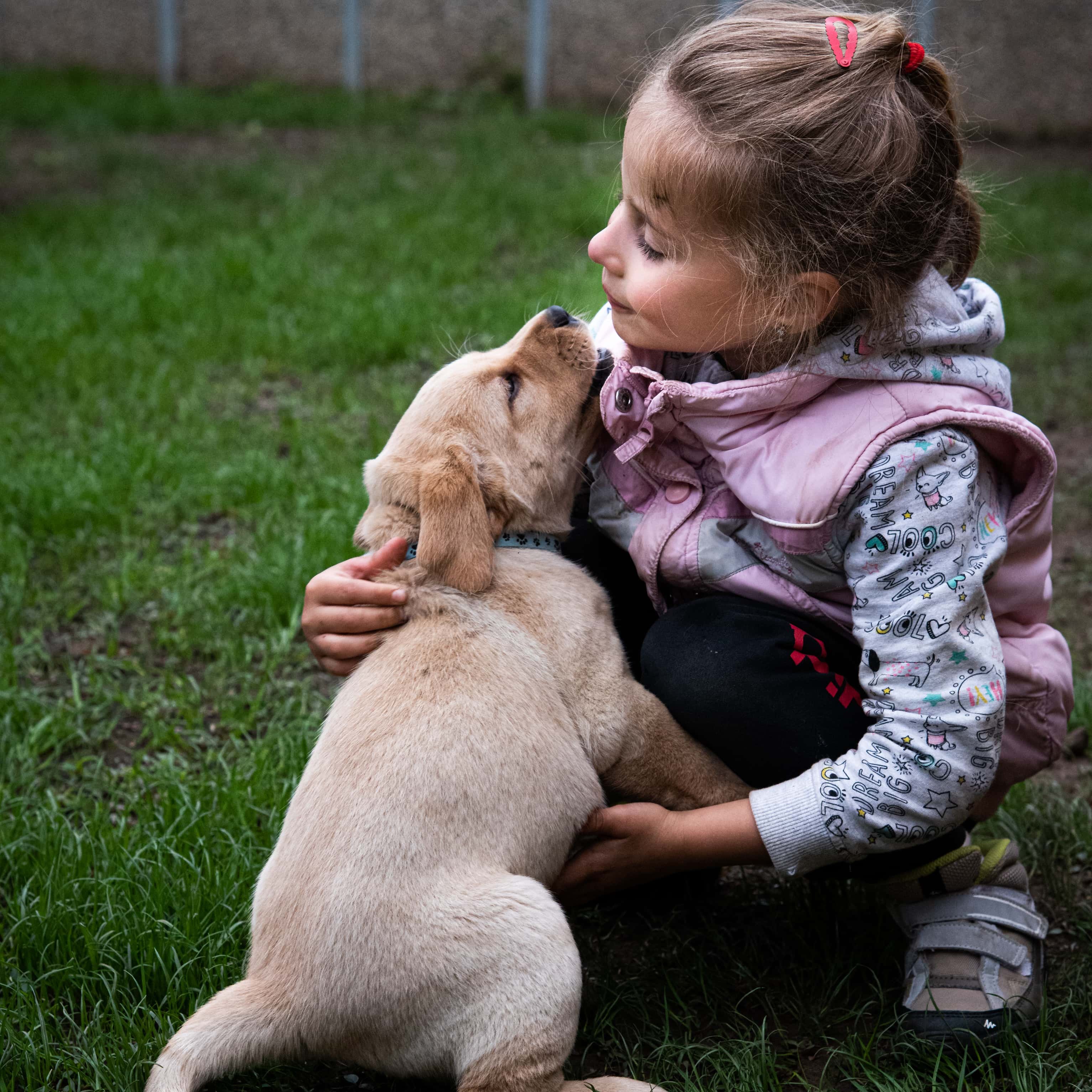 Tátrainé Felleg Zsuzsanna a Happyscute Labredor kennel tulajdonosának fotója