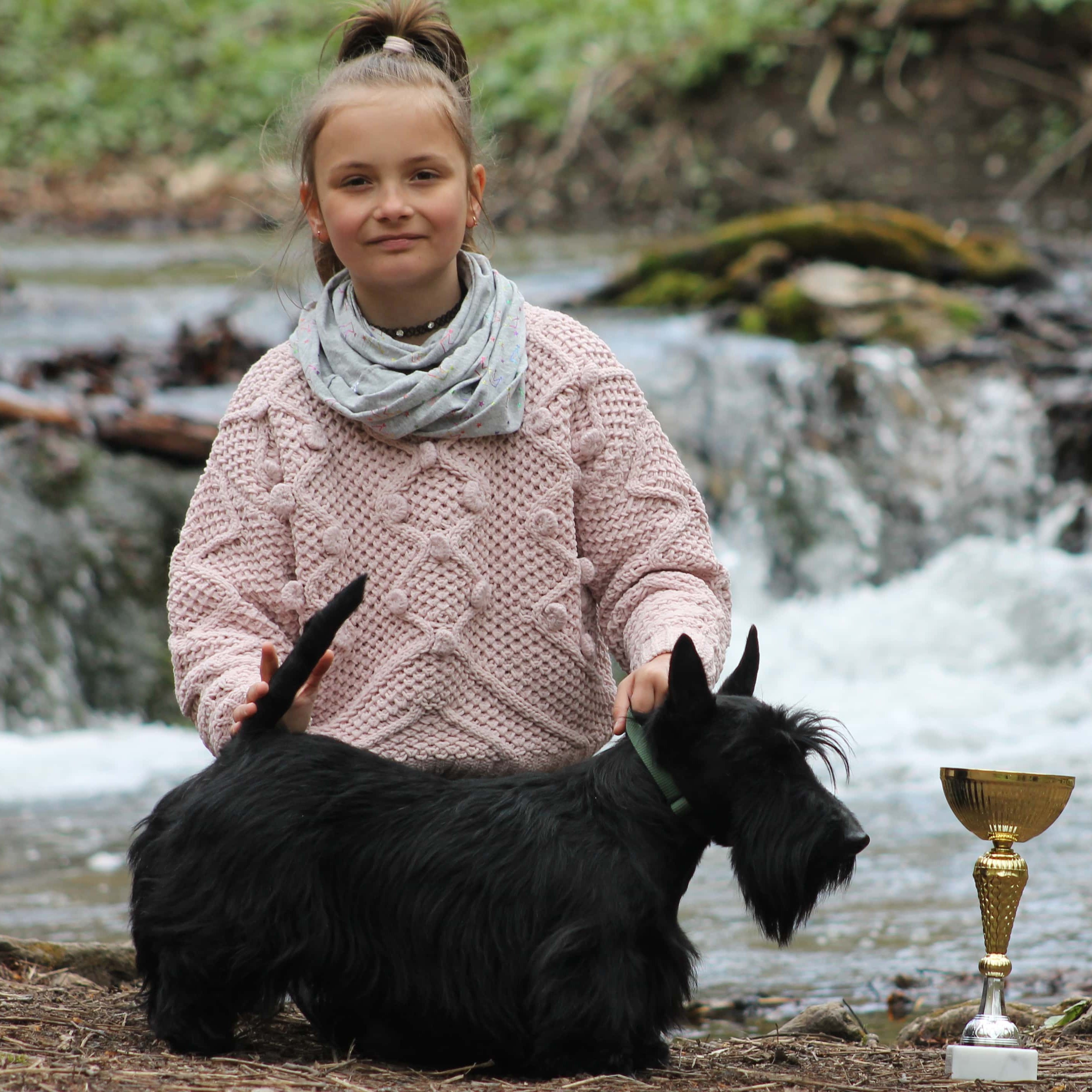 skót terrier kiállítási pózban kislánnyal